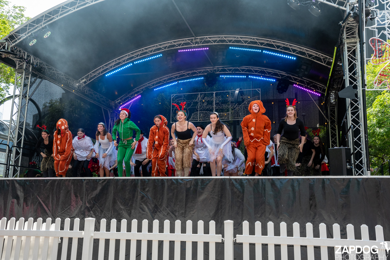 galleries/WellXmas2019/Dancers/mid/mid_welly2019_2_-5255.jpg