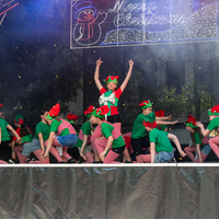 galleries/WellXmas2019/Dancers/thumbs/th_welly2019_-3170.jpg