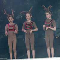 galleries/WellXmas2019/Dancers/thumbs/th_welly2019_-3611.jpg