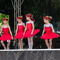 galleries/WellXmas2019/Dancers/thumbs/th_welly2019_-3693.jpg
