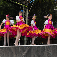 galleries/WellXmas2019/Dancers/thumbs/th_welly2019_-3850.jpg