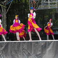 galleries/WellXmas2019/Dancers/thumbs/th_welly2019_-3914.jpg