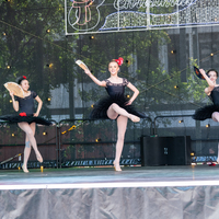 galleries/WellXmas2019/Dancers/thumbs/th_welly2019_-3979.jpg