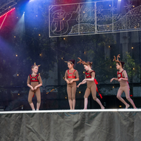 galleries/WellXmas2019/Dancers/thumbs/th_welly2019_2_-5431.jpg