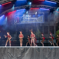 galleries/WellXmas2019/Dancers/thumbs/th_welly2019_2_-5433.jpg