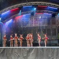 galleries/WellXmas2019/Dancers/thumbs/th_welly2019_2_-5436.jpg