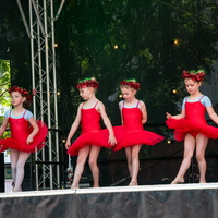 galleries/WellXmas2019/Dancers/thumbs/th_welly2019_2_-5465.jpg