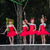 galleries/WellXmas2019/Dancers/thumbs/th_welly2019_2_-5480.jpg