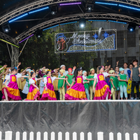 galleries/WellXmas2019/Dancers/thumbs/th_welly2019_2_-5574.jpg