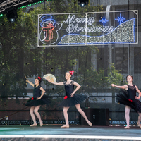 galleries/WellXmas2019/Dancers/thumbs/th_welly2019_2_-5596.jpg