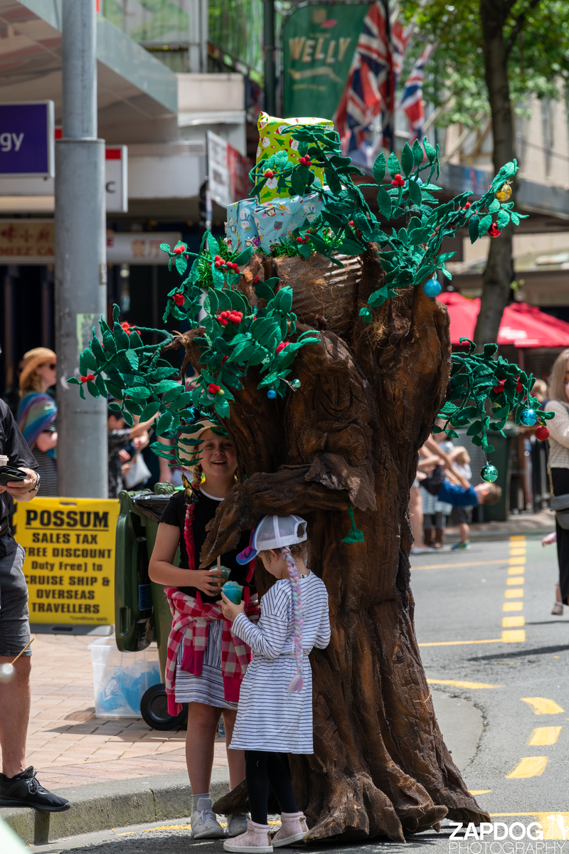 galleries/WellXmas2019/Parade/mid/mid_welly2019_-2860.jpg