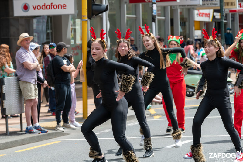 galleries/WellXmas2019/Parade/mid/mid_welly2019_-3009.jpg
