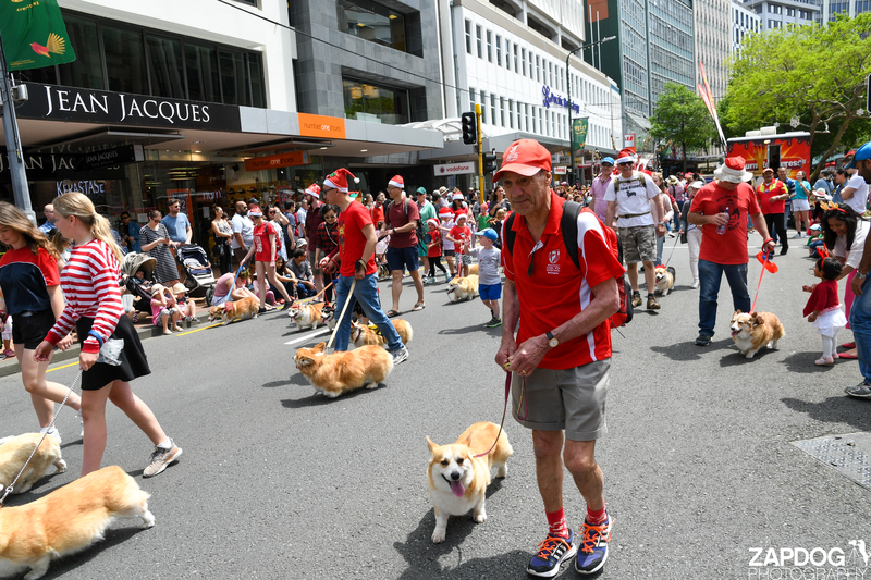 galleries/WellXmas2019/Parade/mid/mid_welly2019_2_-4983.jpg
