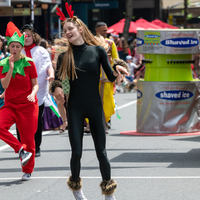 galleries/WellXmas2019/Parade/thumbs/th_welly2019_-2991.jpg