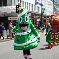 galleries/WellXmas2019/Parade/thumbs/th_welly2019_2_-4929.jpg