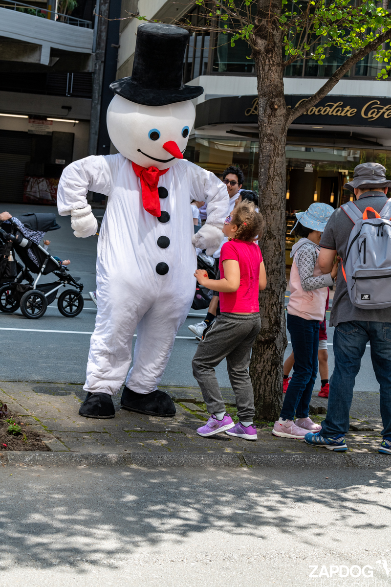 galleries/WellXmas2019/Performers/mid/mid_welly2019_-4857.jpg