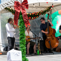 galleries/WellXmas2019/Performers/thumbs/th_welly2019_-4960.jpg