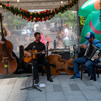 galleries/WellXmas2019/Performers/thumbs/th_welly2019_3_-6530.jpg