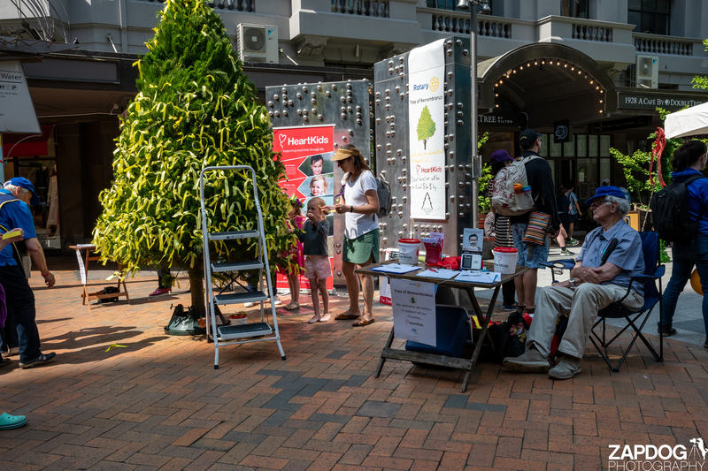 galleries/WellXmas2019/Rotary/mid/mid_welly2019_3_-6507.jpg