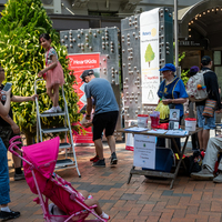 galleries/WellXmas2019/Rotary/thumbs/th_welly2019_3_-6503.jpg
