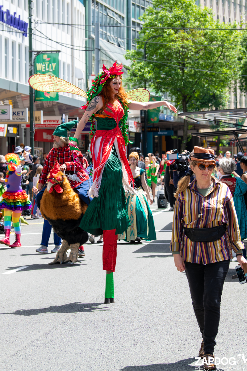 galleries/WellXmas2020/Parade/mid/mid_welly2020-parade-3211-2.jpg