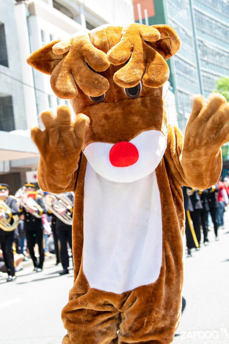 galleries/WellXmas2020/Parade/mid/mid_welly2020-parade-3469-2.jpg