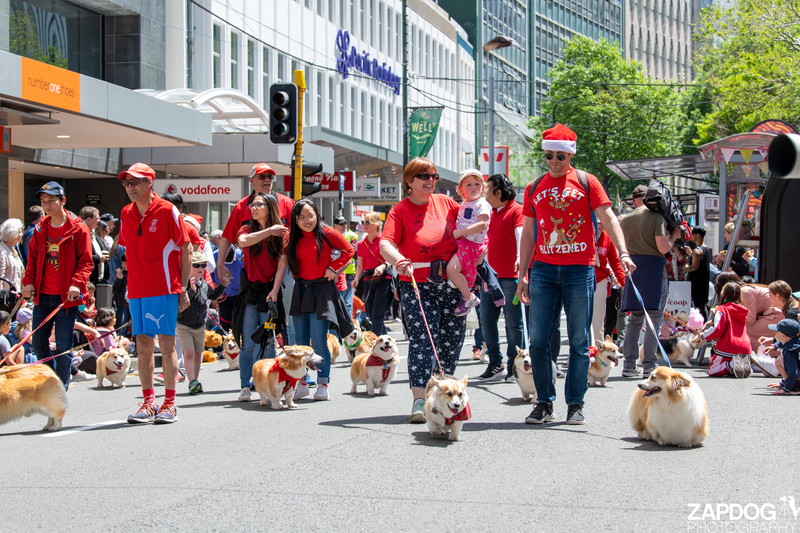 galleries/WellXmas2020/Parade/mid/mid_welly2020-parade-3488-2.jpg