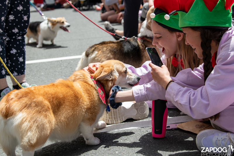 galleries/WellXmas2020/Parade/mid/mid_welly2020-parade-3524-2.jpg