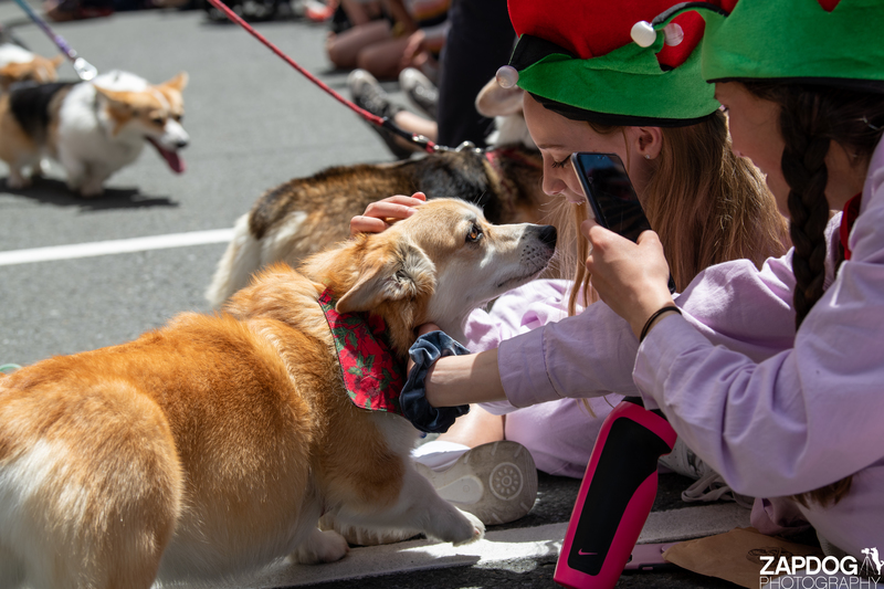 galleries/WellXmas2020/Parade/mid/mid_welly2020-parade-3527-2.jpg