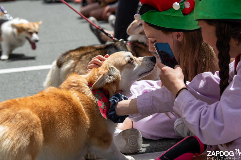 galleries/WellXmas2020/Parade/mid/mid_welly2020-parade-3528-2.jpg