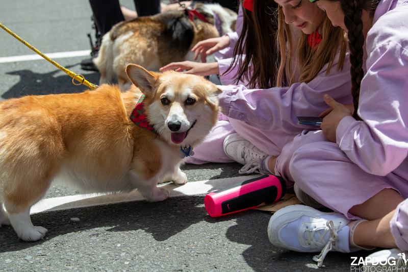 galleries/WellXmas2020/Parade/mid/mid_welly2020-parade-3545-2.jpg