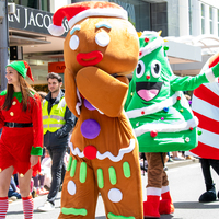 galleries/WellXmas2020/Parade/thumbs/th_welly2020-parade-3449-2.jpg