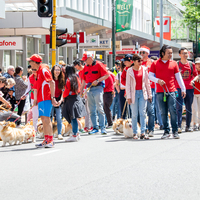 galleries/WellXmas2020/Parade/thumbs/th_welly2020-parade-3486-2.jpg