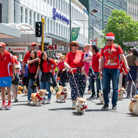 galleries/WellXmas2020/Parade/thumbs/th_welly2020-parade-3488-2.jpg