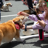 galleries/WellXmas2020/Parade/thumbs/th_welly2020-parade-3522-2.jpg