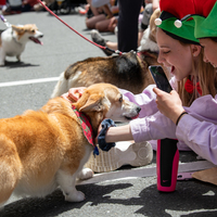 galleries/WellXmas2020/Parade/thumbs/th_welly2020-parade-3524-2.jpg