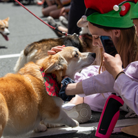 galleries/WellXmas2020/Parade/thumbs/th_welly2020-parade-3527-2.jpg