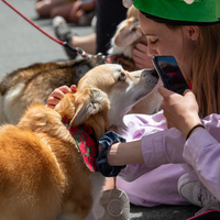 galleries/WellXmas2020/Parade/thumbs/th_welly2020-parade-3529-2.jpg
