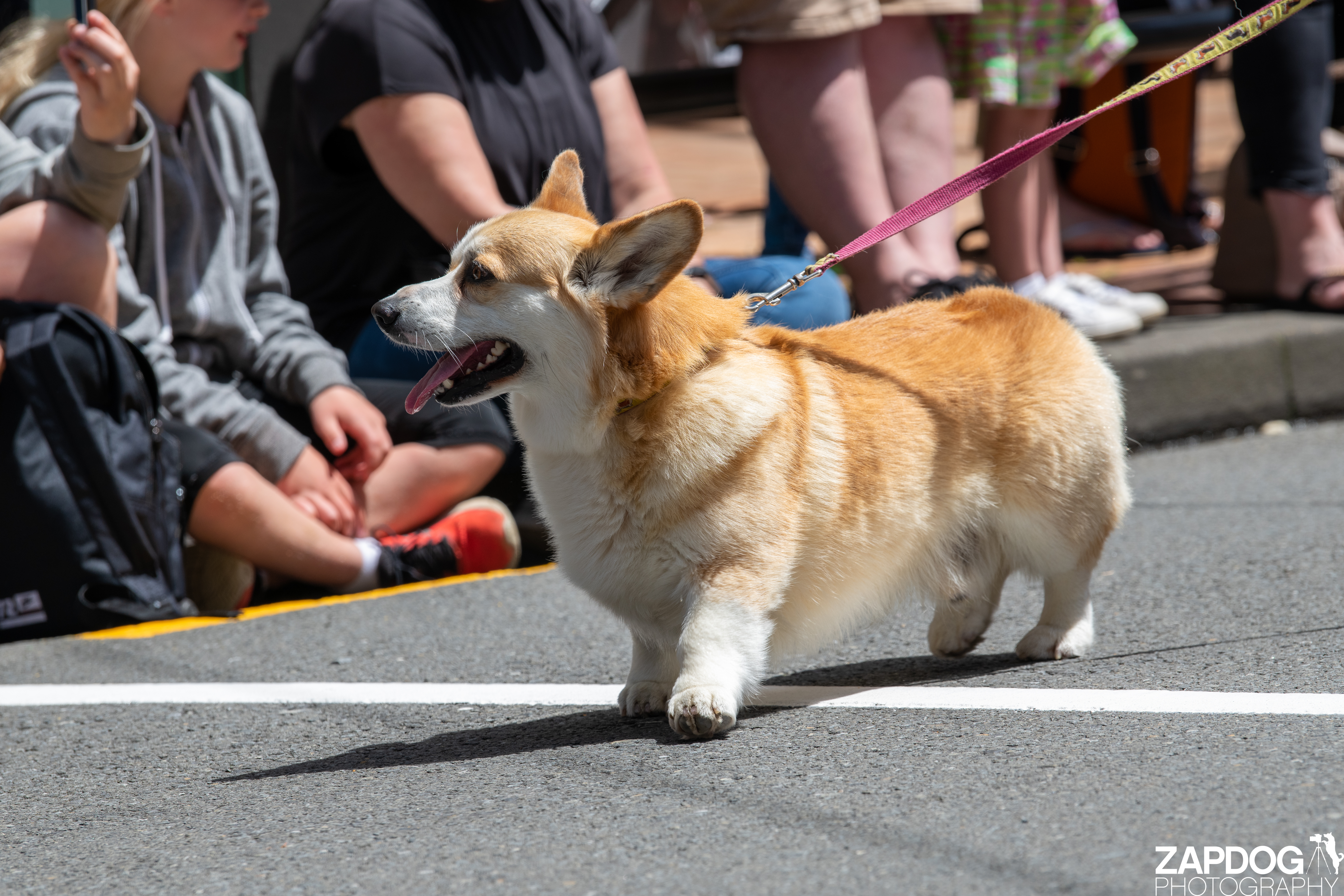 galleries/WellXmas2020/Parade/welly2020-parade-3502-2.jpg