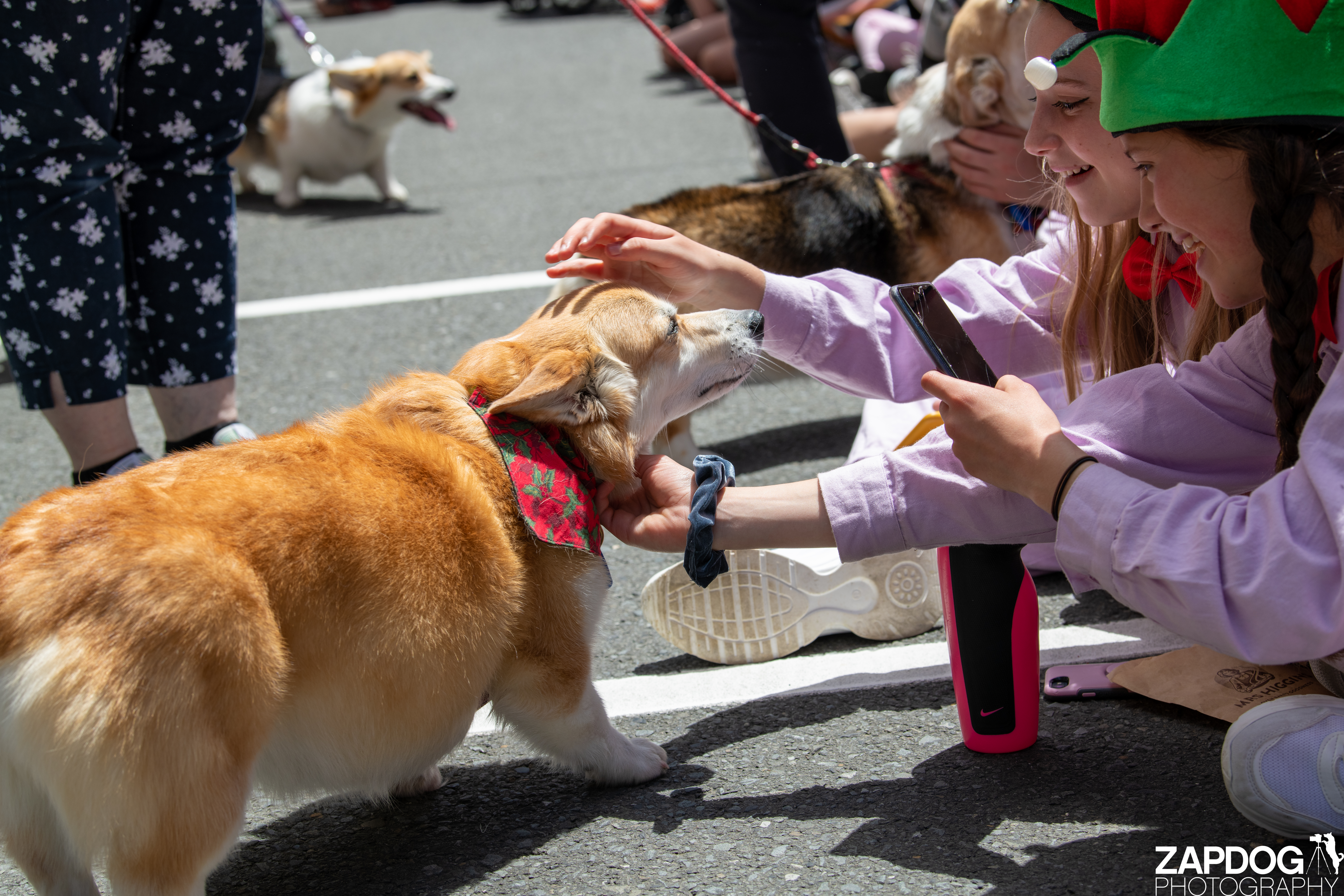 galleries/WellXmas2020/Parade/welly2020-parade-3522-2.jpg