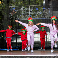 galleries/WellXmas2020/Performers/thumbs/th_welly2020-performers-3755-2.jpg