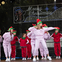 galleries/WellXmas2020/Performers/thumbs/th_welly2020-performers-3783-2.jpg