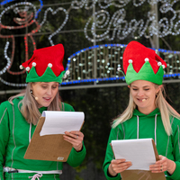 galleries/WellXmas2020/Performers1/thumbs/th_welly2020-performers-3821-2.jpg