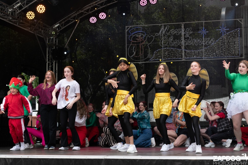 galleries/WellXmas2020/Performers10/mid/mid_welly-2-11.jpg
