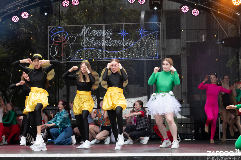 galleries/WellXmas2020/Performers10/mid/mid_welly-2-12.jpg