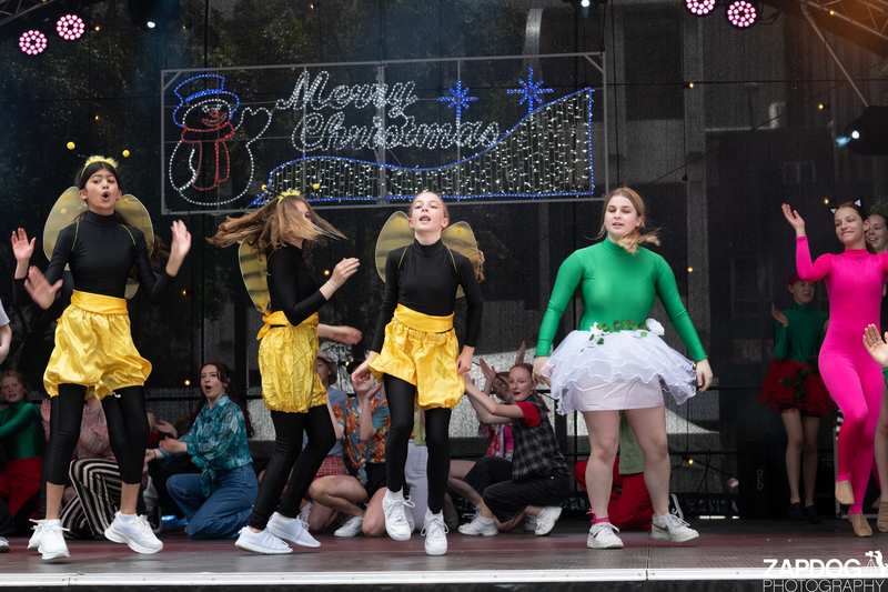 galleries/WellXmas2020/Performers10/mid/mid_welly-2-15.jpg