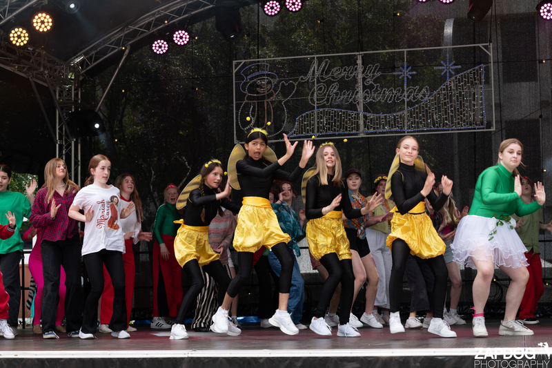 galleries/WellXmas2020/Performers10/mid/mid_welly-2-2.jpg