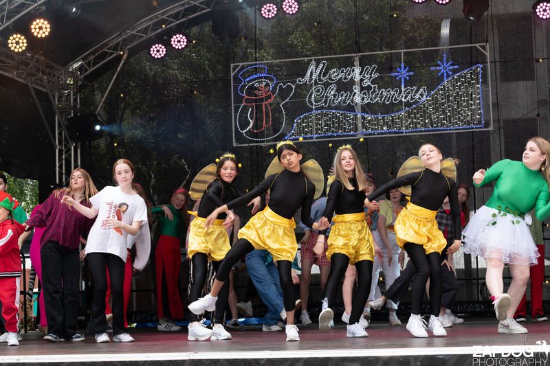 galleries/WellXmas2020/Performers10/mid/mid_welly-2-5.jpg