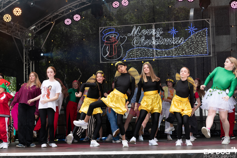 galleries/WellXmas2020/Performers10/mid/mid_welly-2-6.jpg