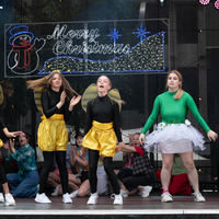 galleries/WellXmas2020/Performers10/thumbs/th_welly-2-16.jpg